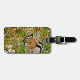 Chubby cute chipmunk on  on wood stump luggage tag