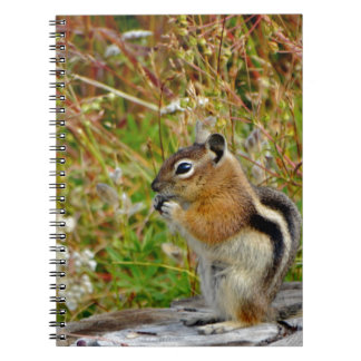Chubby cute chipmunk on  on wood stump notebook