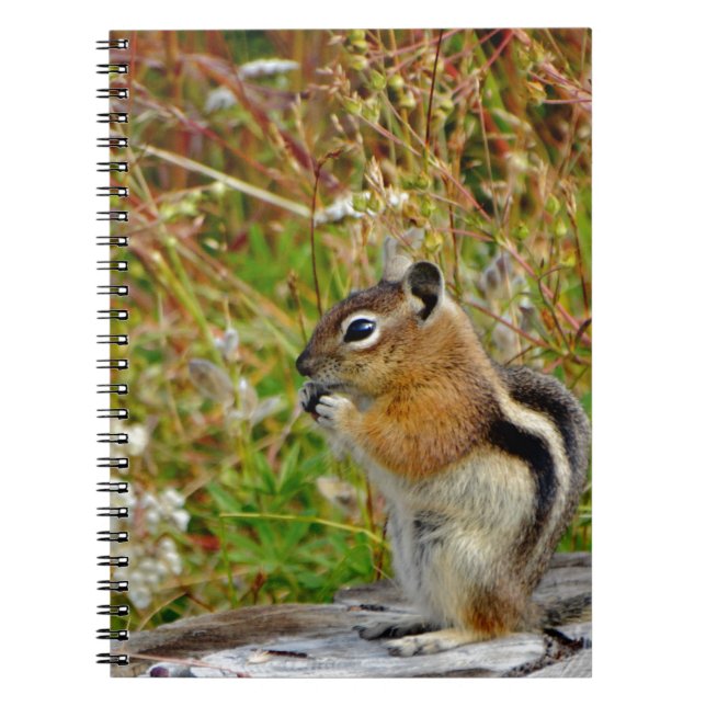 Chubby cute chipmunk on  on wood stump notebook (Front)