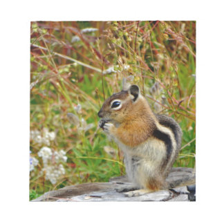 Chubby cute chipmunk on  on wood stump notepad