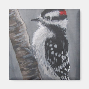 Chubby Downy Woodpecker - Magnet