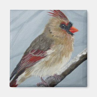 Chubby Female Cardinal - Magnet