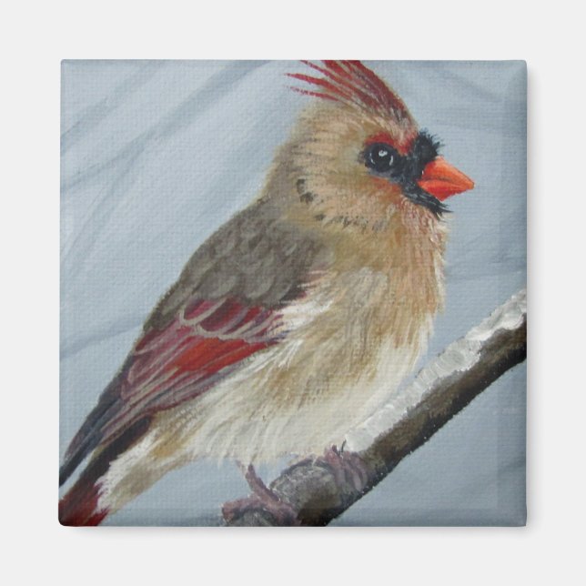 Chubby Female Cardinal - Magnet (Front)