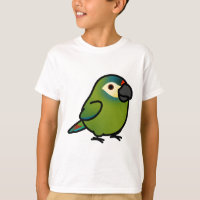 Chubby Illiger's Macaw