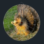 Chubby Squirrel, Dartboard<br><div class="desc">An awesome dart board for everyone.</div>