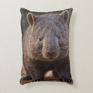 Chubby The Australian Wombat, Decorative Cushion