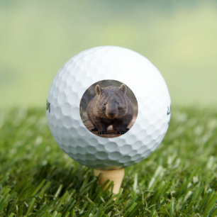 Chubby The Australian Wombat, Golf Balls