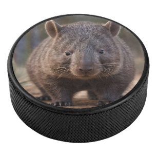 Chubby The Australian Wombat, Hockey Puck