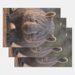 Chubby The Australian Wombat, Wrapping Paper Sheet