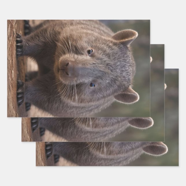 Chubby The Australian Wombat,  Wrapping Paper Sheet (Set)