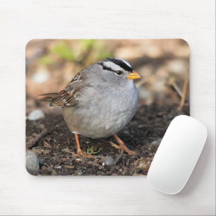 Chubby White-Crowned Sparrow in the Winter Sun Mouse Mat