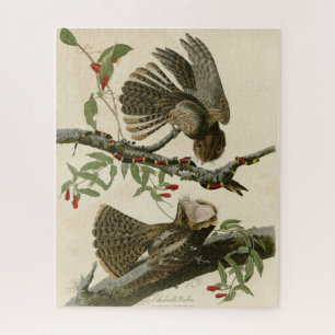Chuck-will's Widow - Audubon's Birds of America Jigsaw Puzzle
