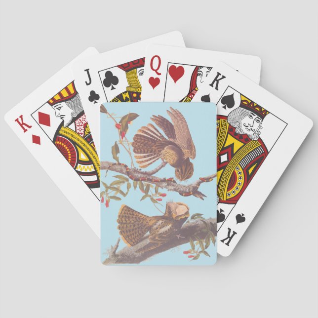 Chuck Will's Widow Nightjar with Coral Snake Playing Cards (Back)