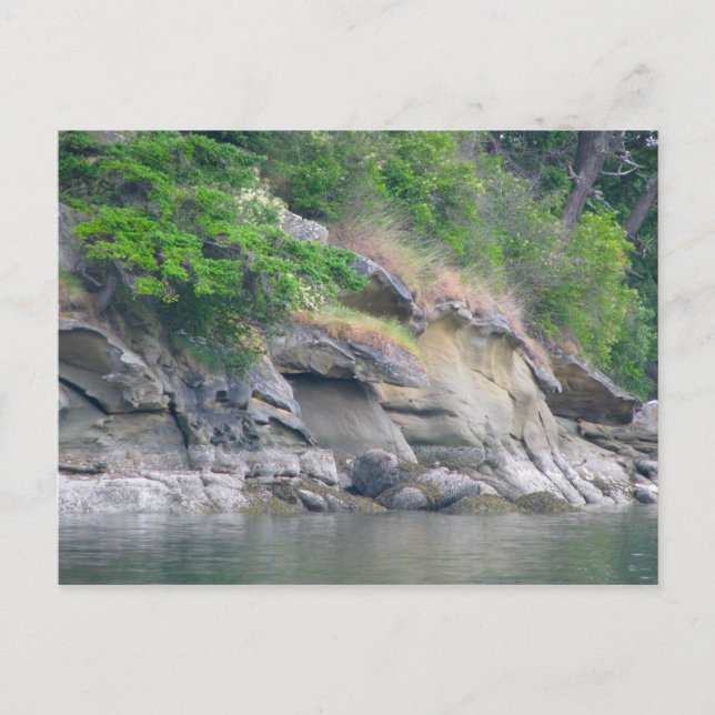 Chuckanut Bay Postcard (Front)