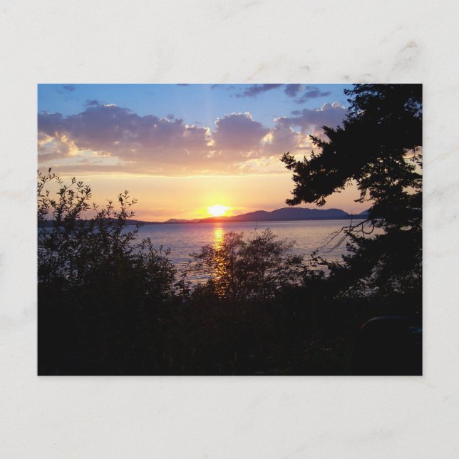 Chuckanut Drive Postcard (Front)