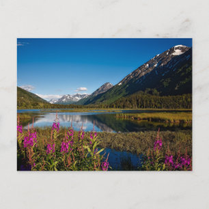 Chugach National Park in Alaska Mountain Lake  Postcard
