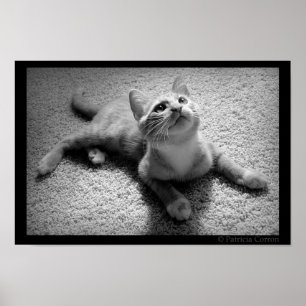 Chugar in Kittenhood Poster