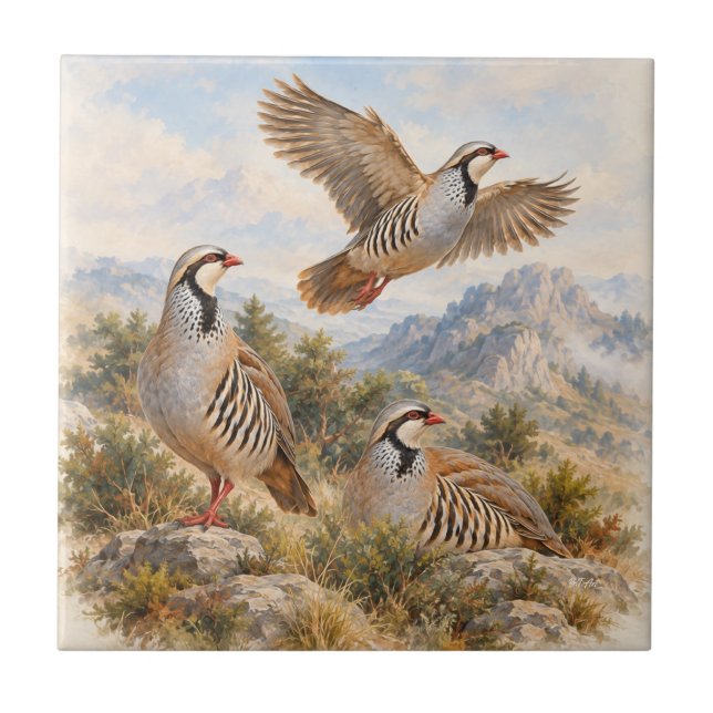Chukar Partridge  Art Tile (Front)