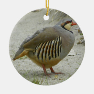 Chukar Partridge Ceramic Tree Decoration