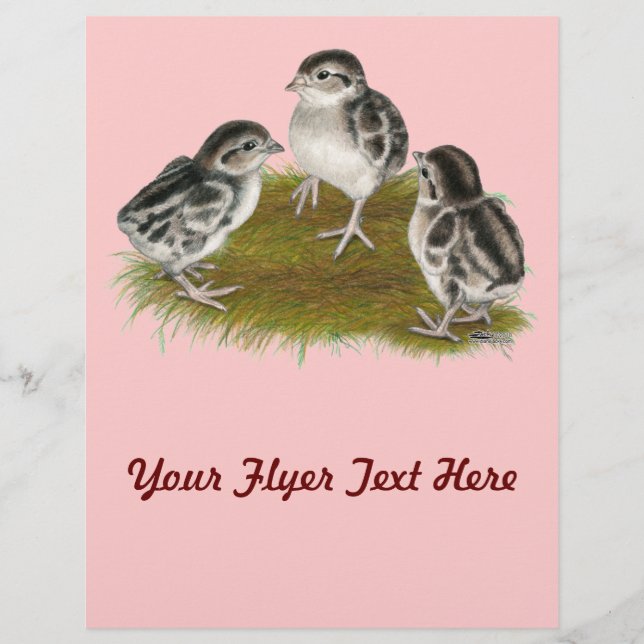 Chukar Partridge Chicks Flyer (Front)