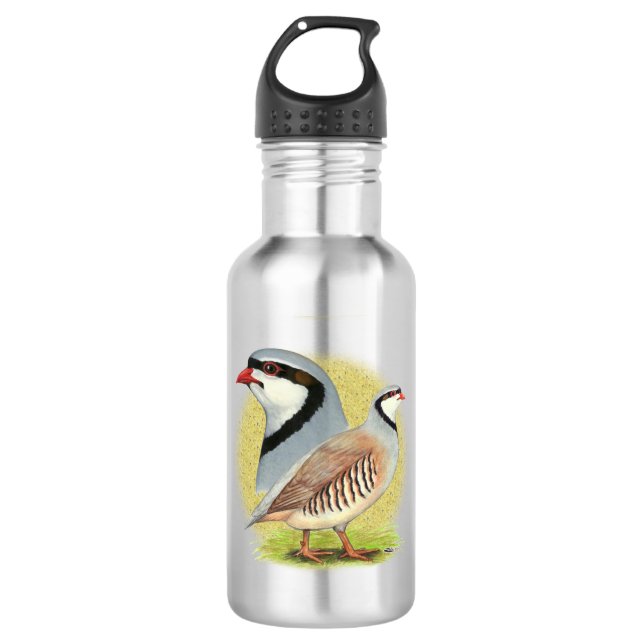 Chukar Partridge Combo 532 Ml Water Bottle (Front)