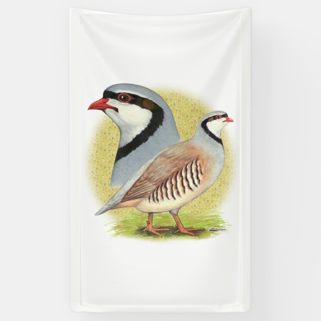 Chukar Partridge Combo Banner (Vertical)