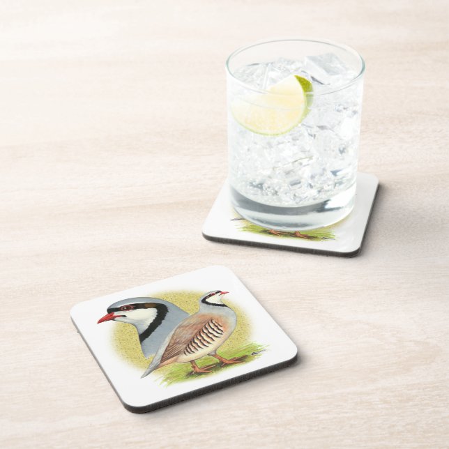 Chukar Partridge Combo Coaster (Right Side)