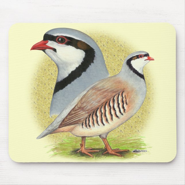 Chukar Partridge Combo Mouse Mat (Front)