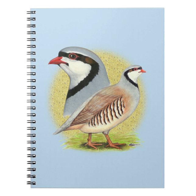 Chukar Partridge Combo Notebook (Front)
