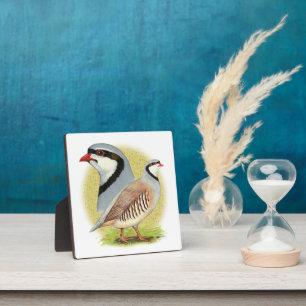 Chukar Partridge Combo Plaque