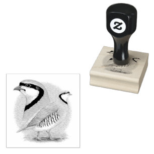 Chukar Partridge Combo Rubber Stamp