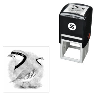 Chukar Partridge Combo Self-inking Stamp