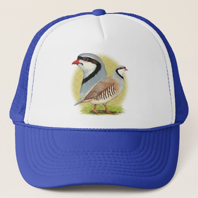 Chukar Partridge Combo Trucker Hat (Front)
