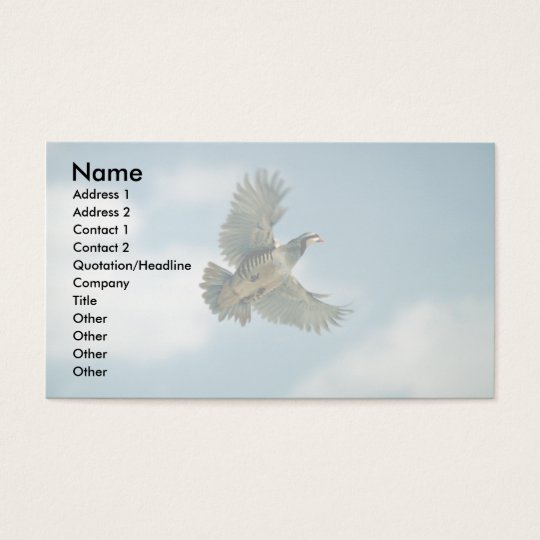 Chukar partridge in flight business card