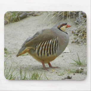 Chukar Partridge Mouse Mat