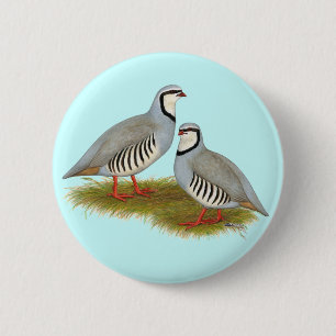 Chukar Partridge Pair 6 Cm Round Badge