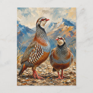 Chukar Partridge Pair Art Holiday Postcard