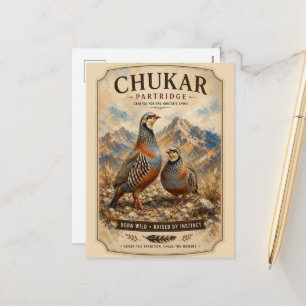 Chukar Partridge Pair Art  Holiday Postcard