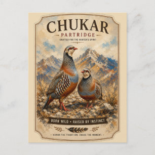 Chukar Partridge Pair Art  Postcard