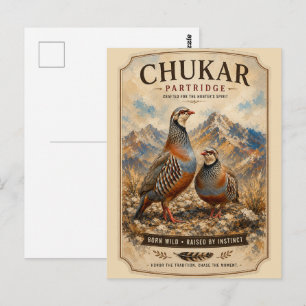 Chukar Partridge Pair Art  Postcard