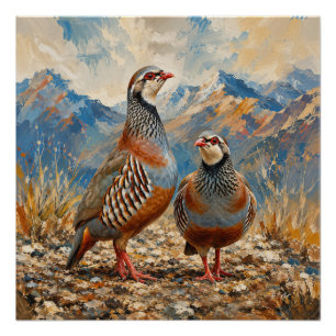 Chukar Partridge Pair Art Poster