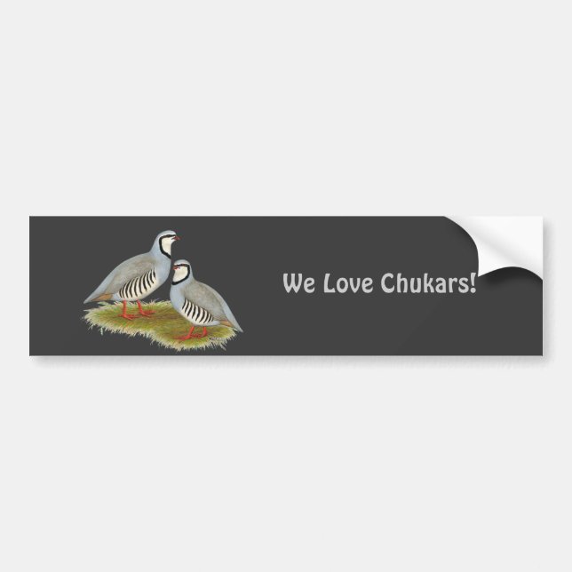 Chukar Partridge Pair Bumper Sticker (Front)