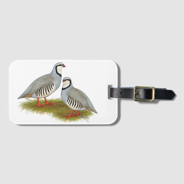 Chukar Partridge Pair Luggage Tag (Front Horizontal)