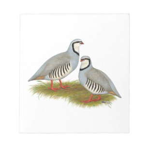 Chukar Partridge Pair Notepad