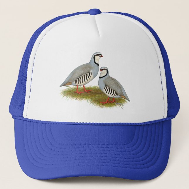 Chukar Partridge Pair Trucker Hat (Front)