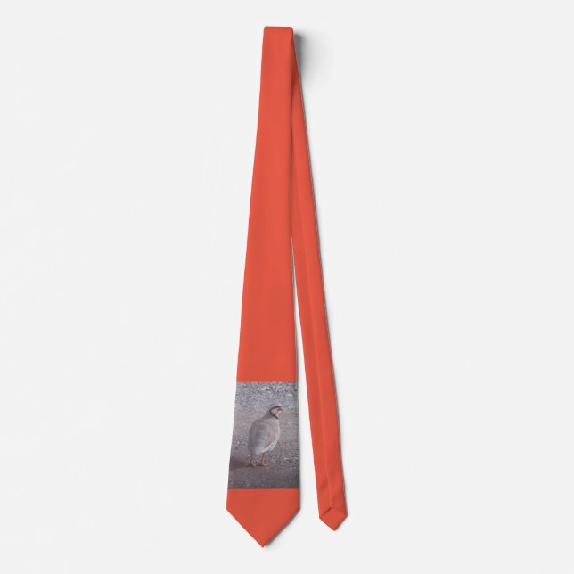Chukar tie with orange background (Front)