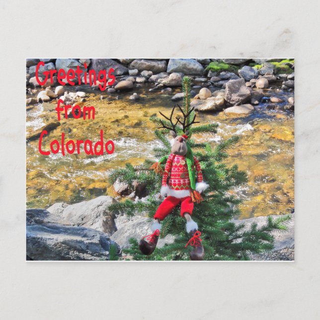 "Chump Christmas" Postcards (Front)