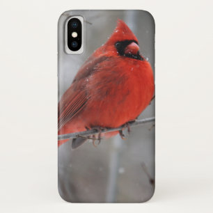 Chunky Bright Red Male Cardinal in Winter Snow iPhone X Case