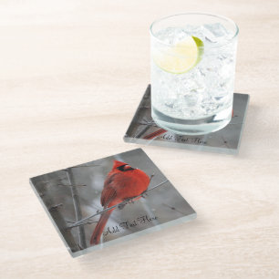 Chunky Bright Red Male Cardinal in Winter Snow Glass Coaster