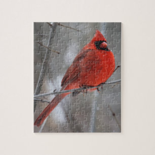 Chunky Bright Red Male Cardinal in Winter Snow Jigsaw Puzzle
